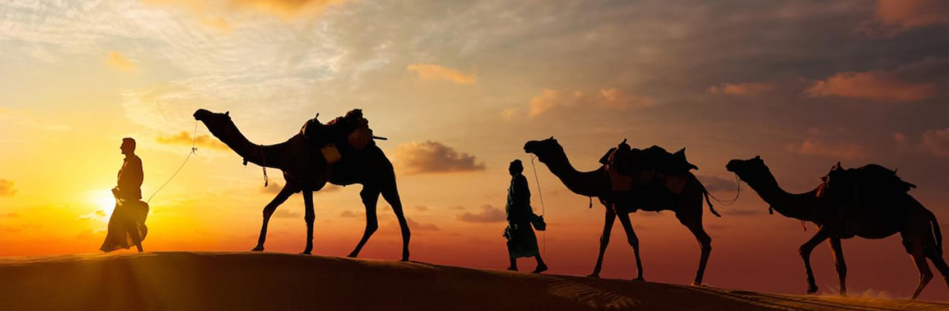 Abu Dhabi Desert Safari | Luxury Desert Safari Abu Dhabi | Safari Packages